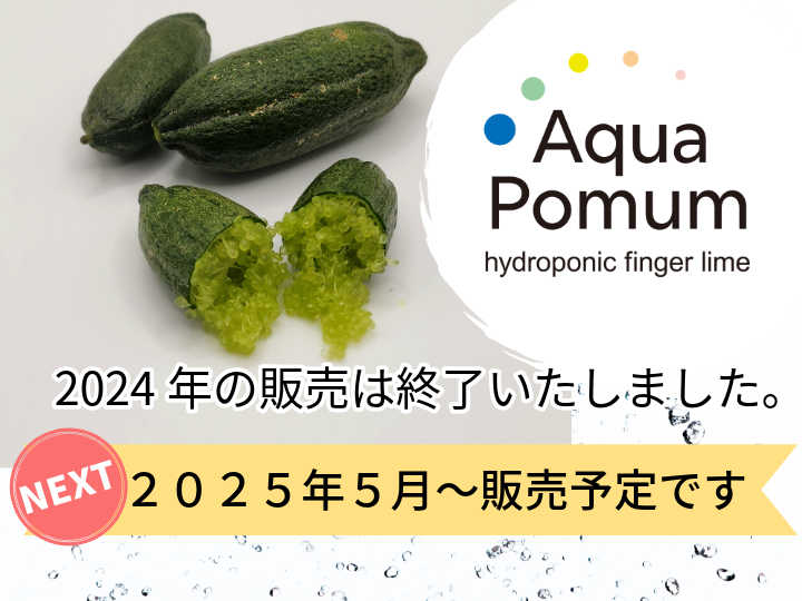 Aquapomumからのお知らせ